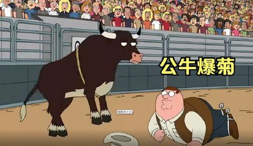 公牛之家在线观看,热血竞技，梦想翱翔